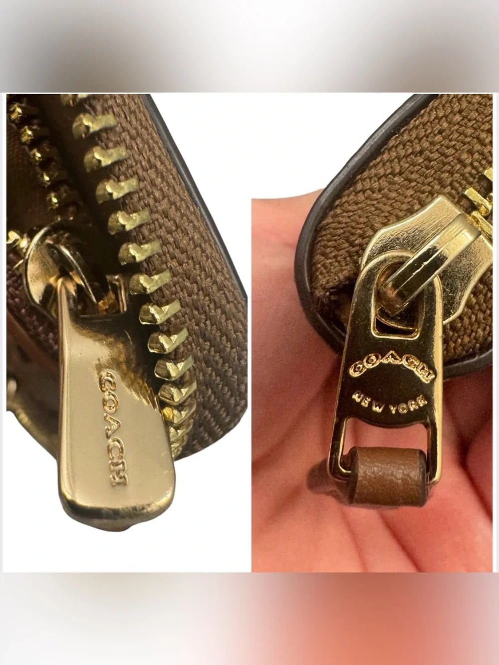 Coach brand size